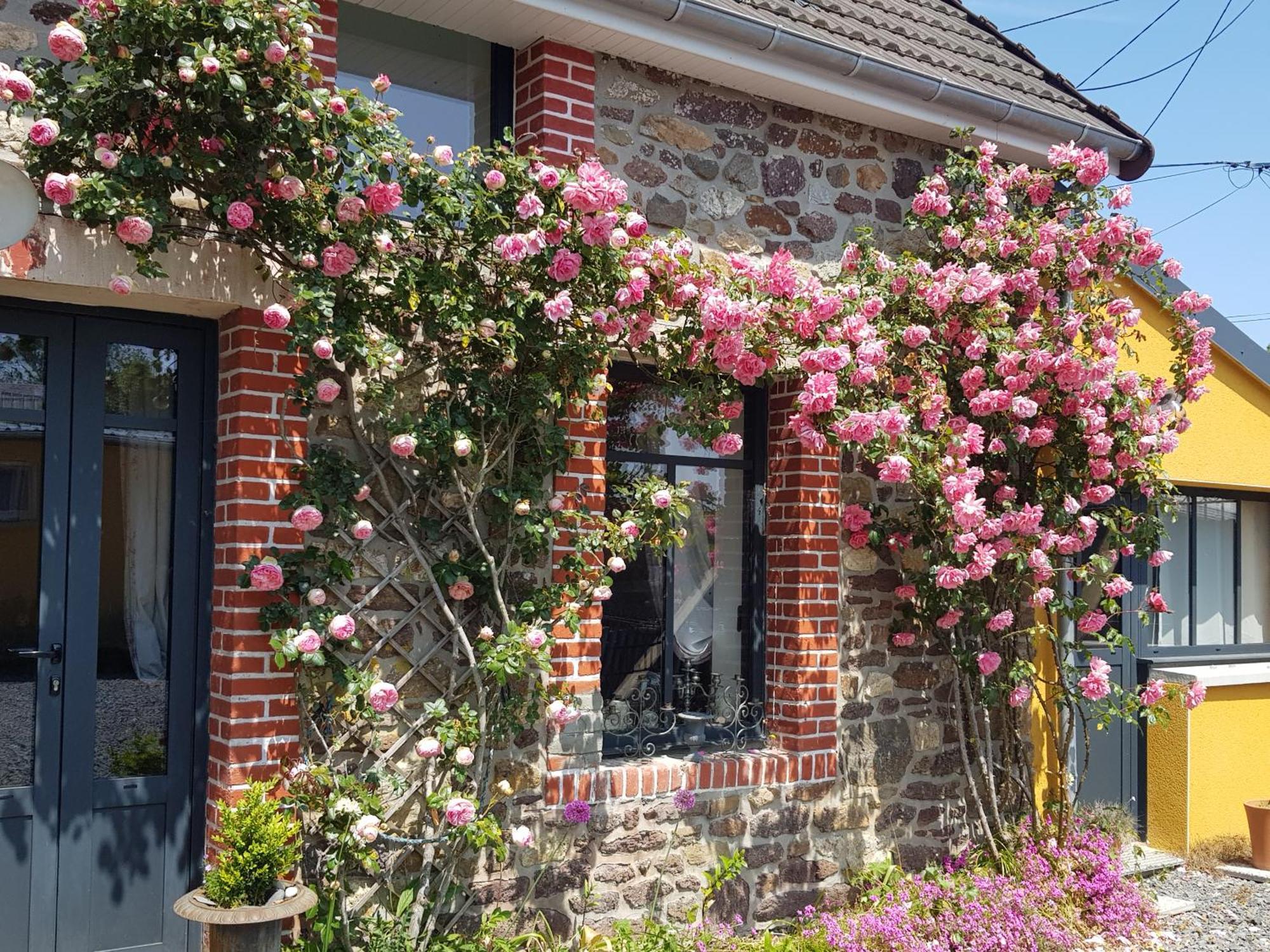 Le Jardin Bed and Breakfast Coudeville Exteriör bild