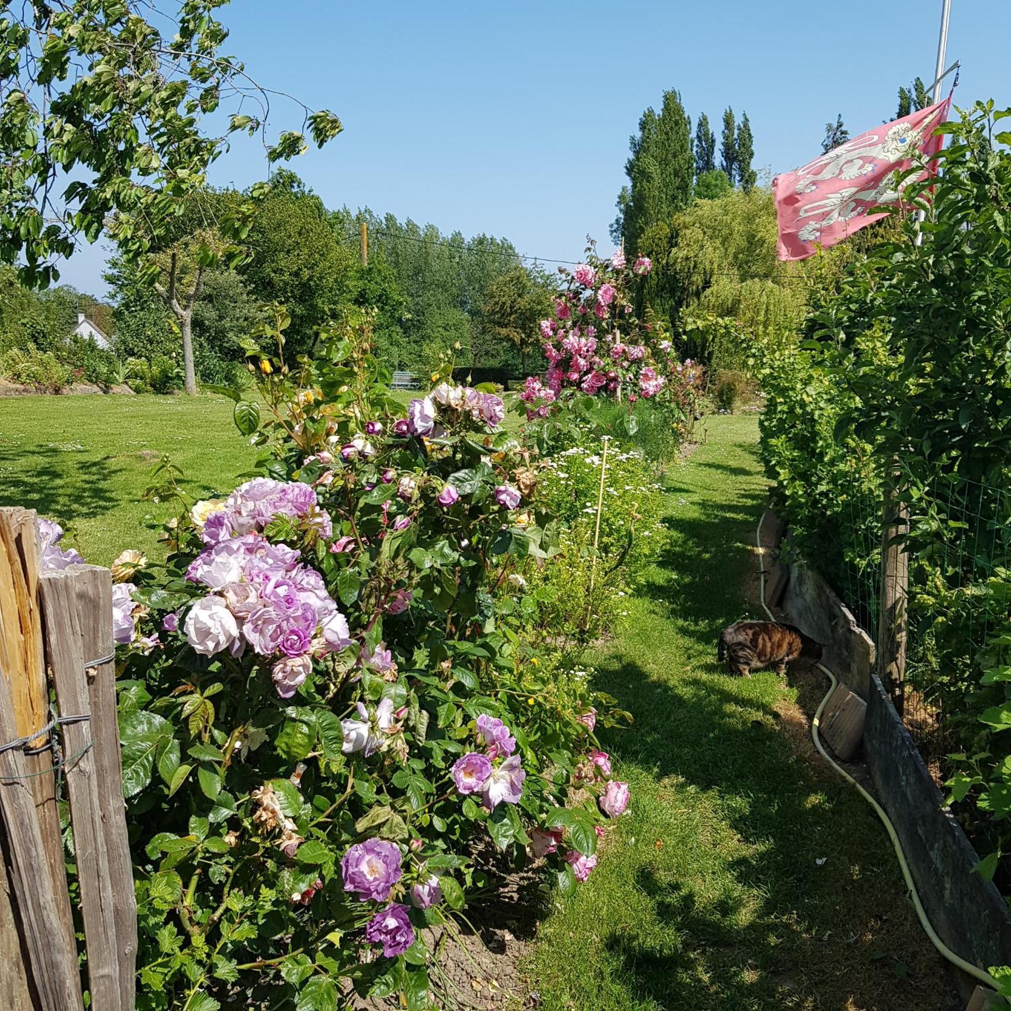 Le Jardin Bed and Breakfast Coudeville Exteriör bild